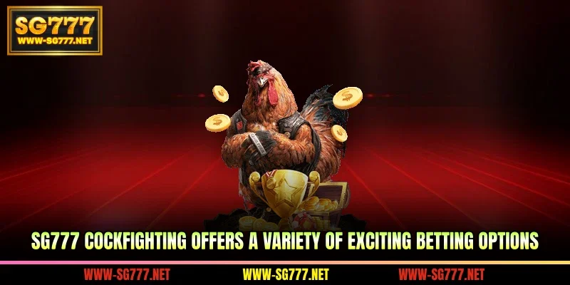 SG777 cockfighting offers a variety of exciting betting options