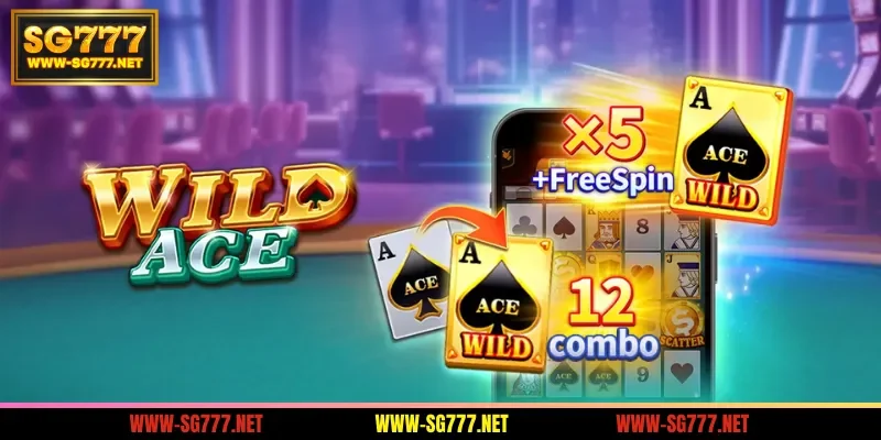 overview-of-the-wild-ace