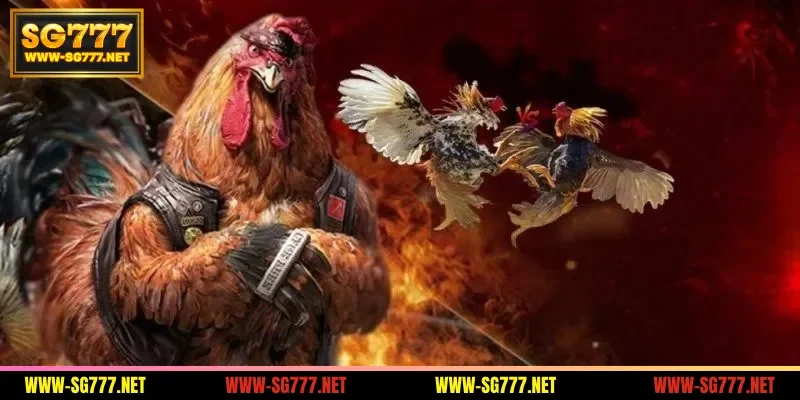 overview-of-the-sv388-lobby